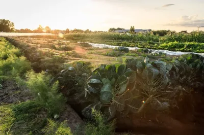 Waarom wij voor bio blijven kiezen in het debat over nieuwe gentechnieken Waarom wij voor bio blijven kiezen in het debat over nieuwe gentechnieken