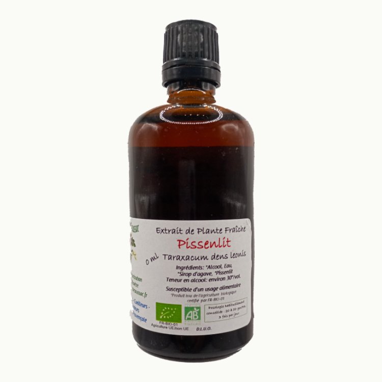 Tinctuur Paardenbloemwortel Bio - 100 ml