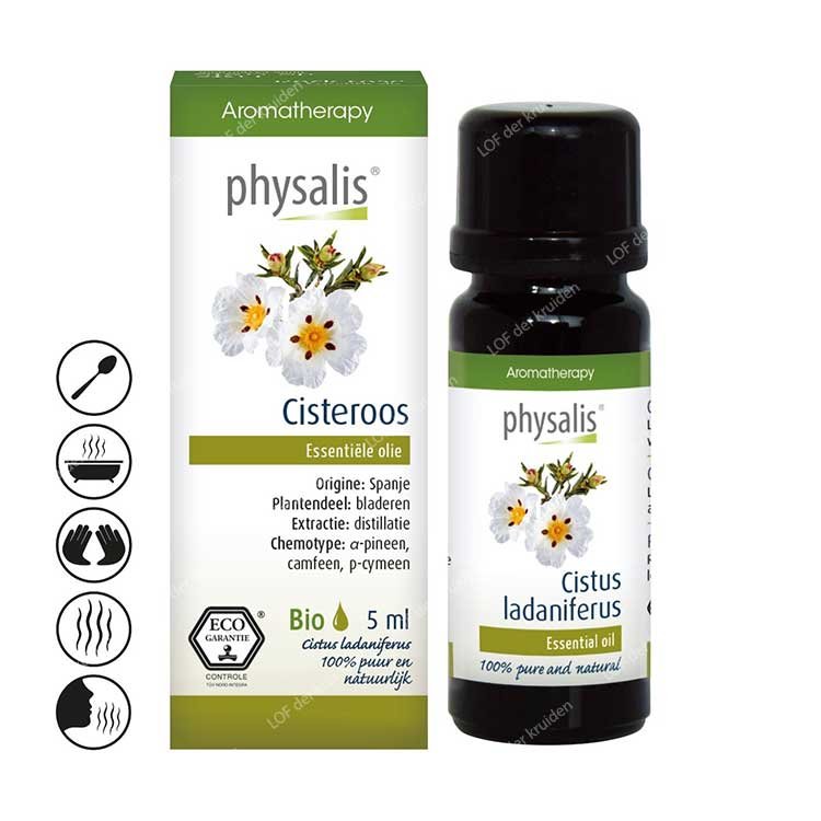 Physalis cisteroos essential oil