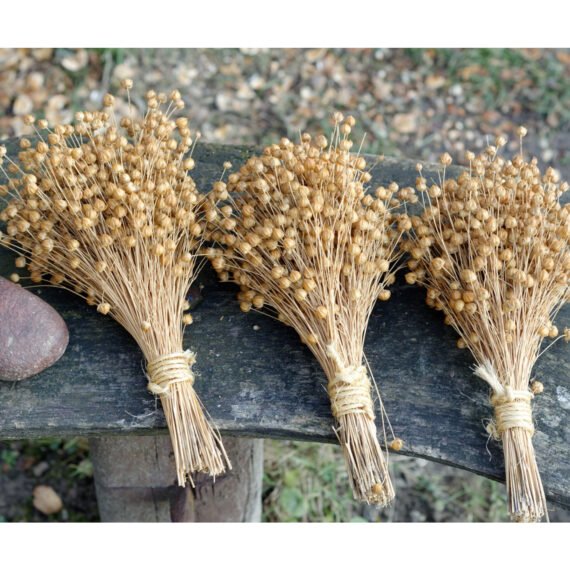 a bunches of wheat on a bench