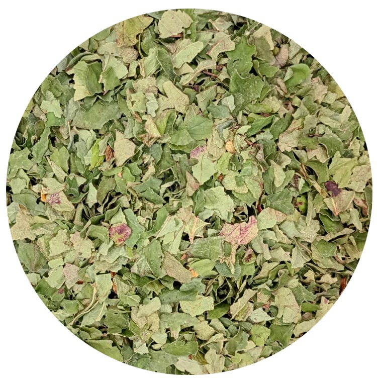 Aardbeiblad Bio - 40 g