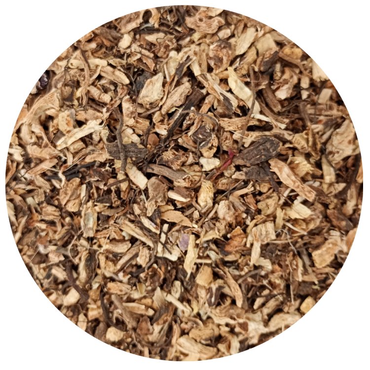 Rode zonnehoedwortel Bio (Echinacea purpurea radix) - 125 gr